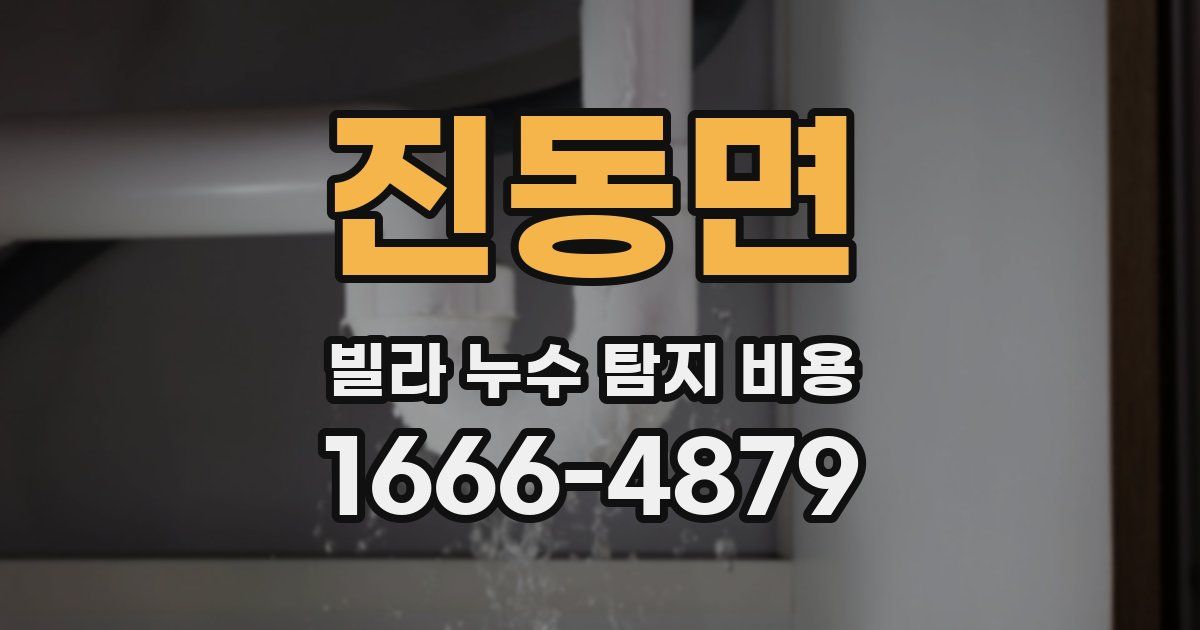 진동면 빌라 누수 탐지 비용