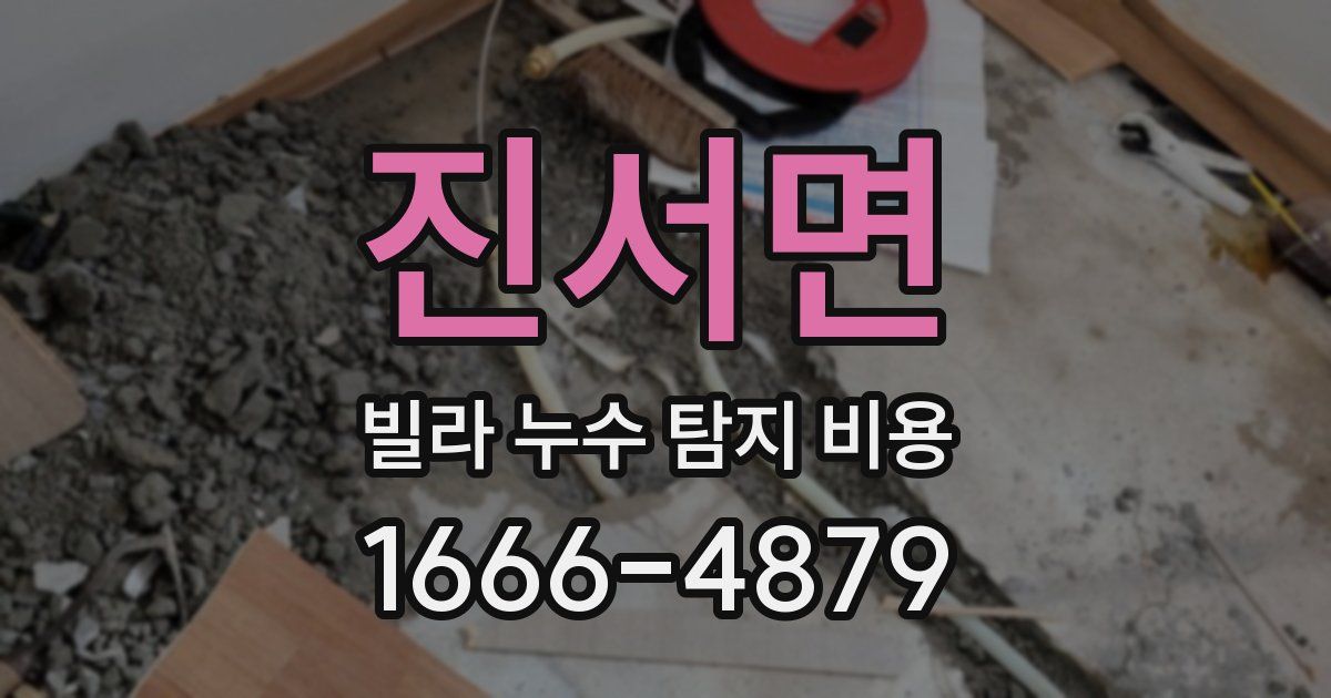진서면 빌라 누수 탐지 비용
