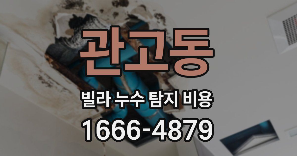 관고동 빌라 누수 탐지 비용
