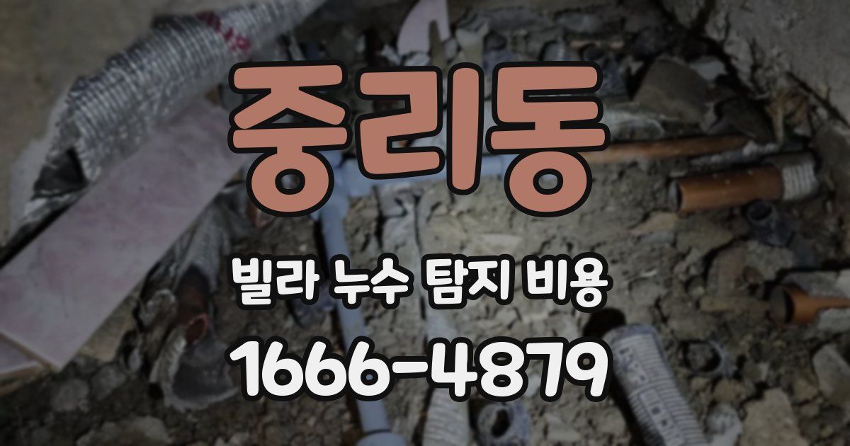 중리동 빌라 누수 탐지 비용