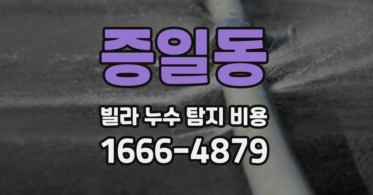 증일동 빌라 누수 탐지 비용