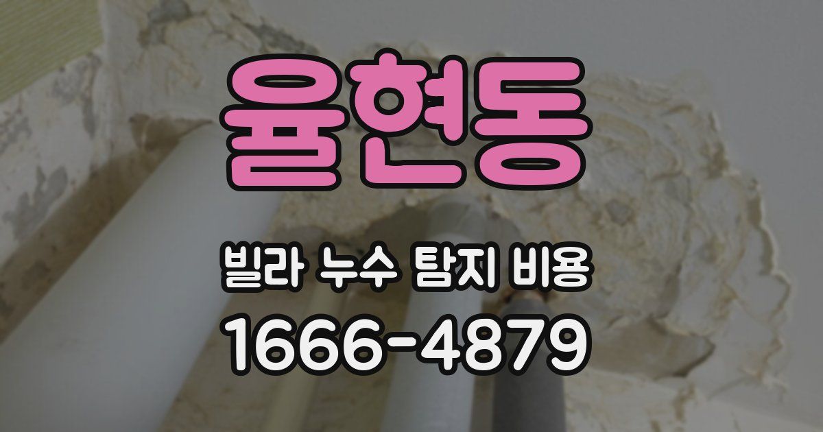 율현동 빌라 누수 탐지 비용