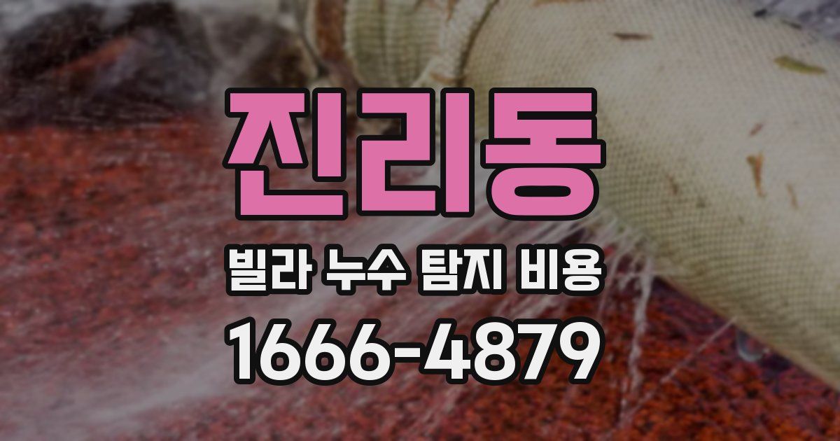 진리동 빌라 누수 탐지 비용