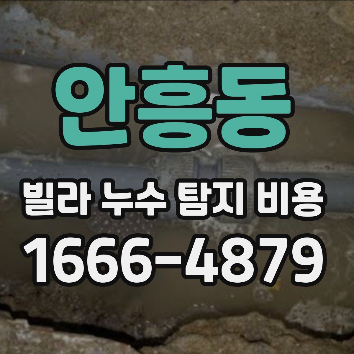 안흥동 빌라 누수 탐지 비용