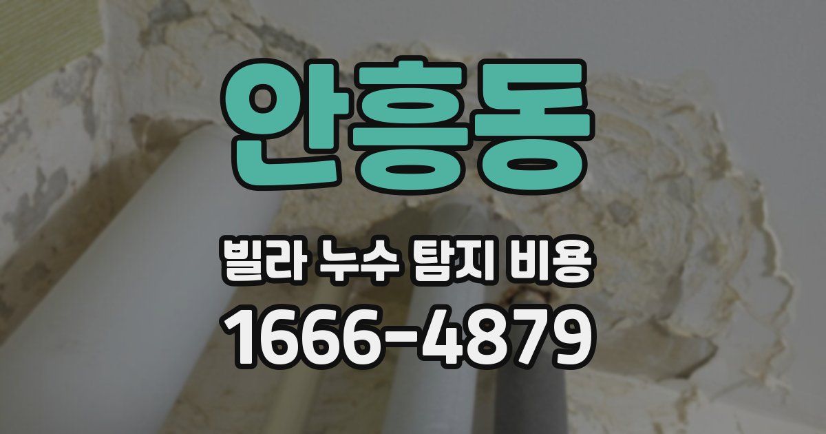 안흥동 빌라 누수 탐지 비용