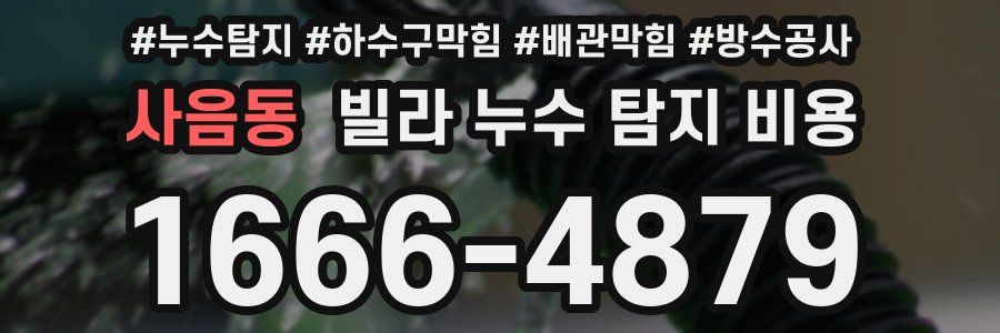 사음동 빌라 누수 탐지 비용
