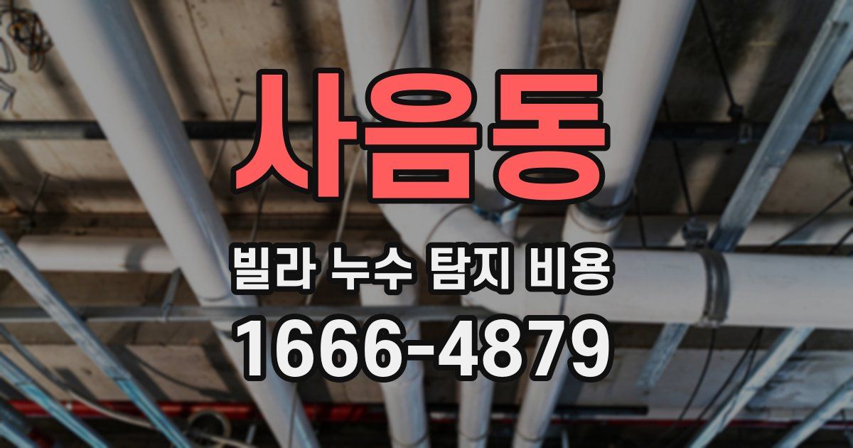 사음동 빌라 누수 탐지 비용