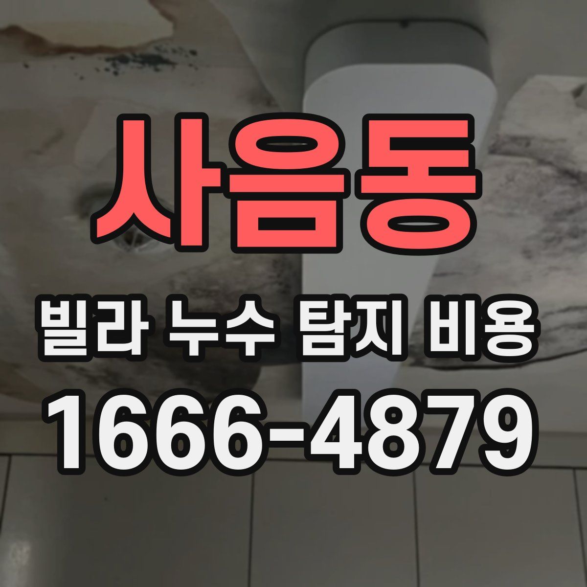 사음동 빌라 누수 탐지 비용