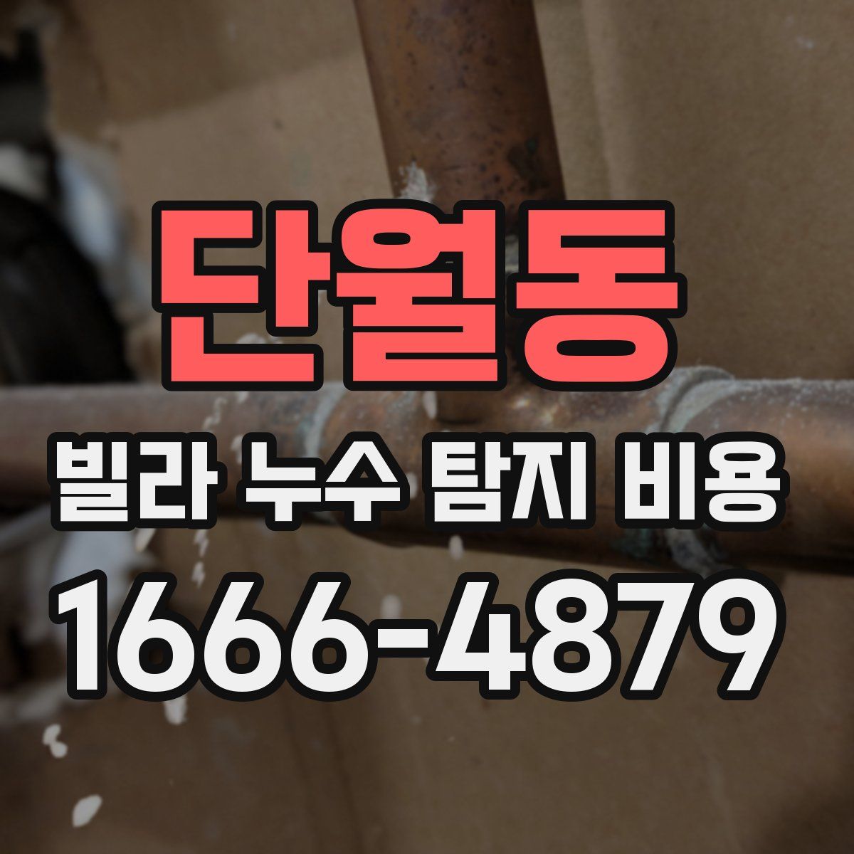 단월동 빌라 누수 탐지 비용
