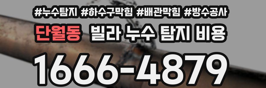 단월동 빌라 누수 탐지 비용
