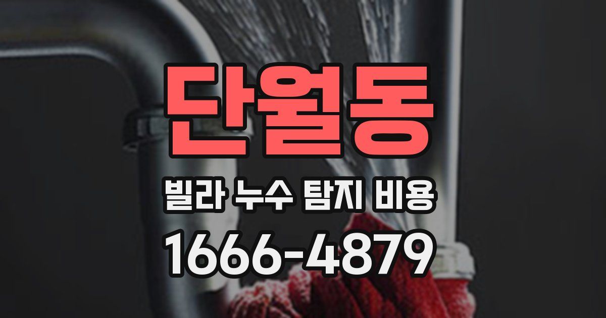단월동 빌라 누수 탐지 비용