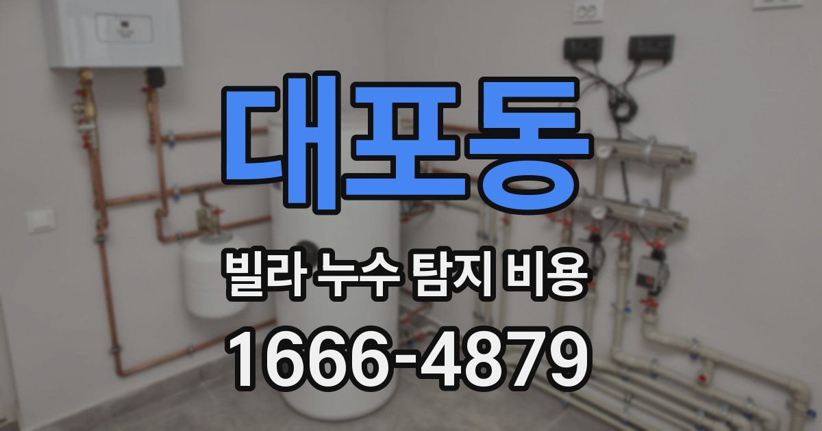 대포동 빌라 누수 탐지 비용