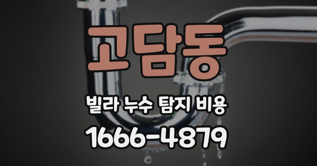 고담동 빌라 누수 탐지 비용