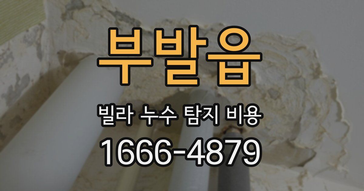 부발읍 빌라 누수 탐지 비용