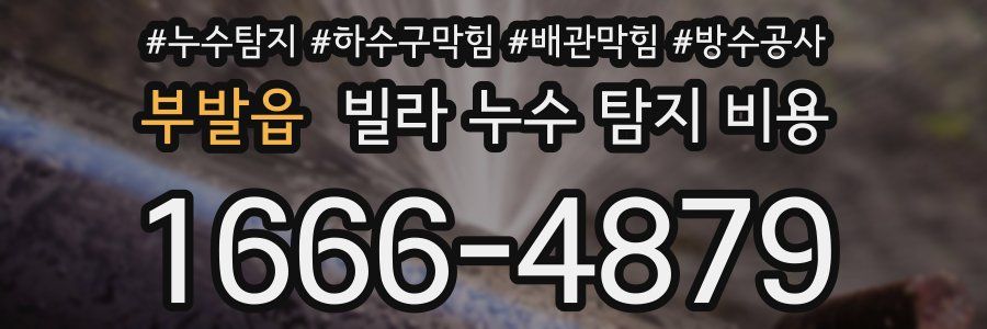 부발읍 빌라 누수 탐지 비용