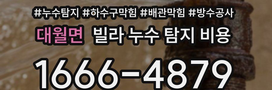 대월면 빌라 누수 탐지 비용