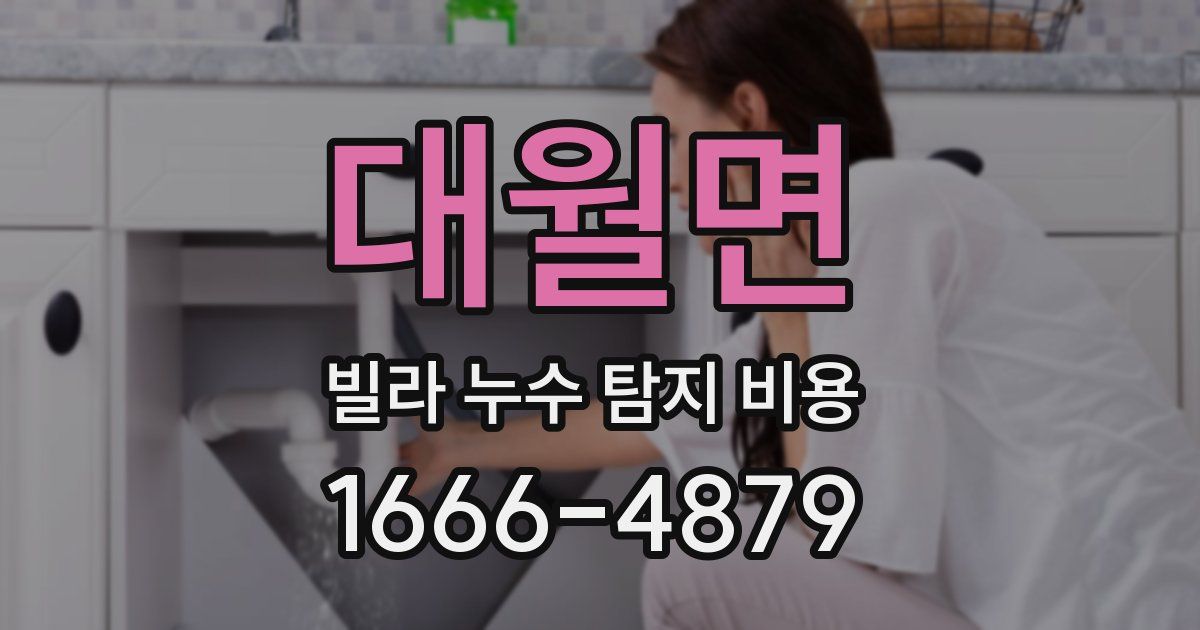 대월면 빌라 누수 탐지 비용