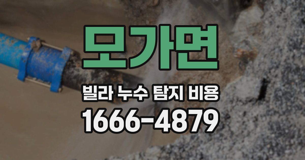 모가면 빌라 누수 탐지 비용