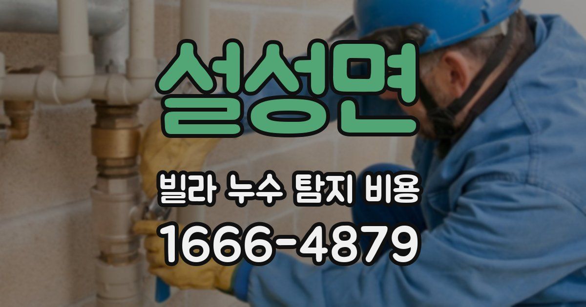 설성면 빌라 누수 탐지 비용