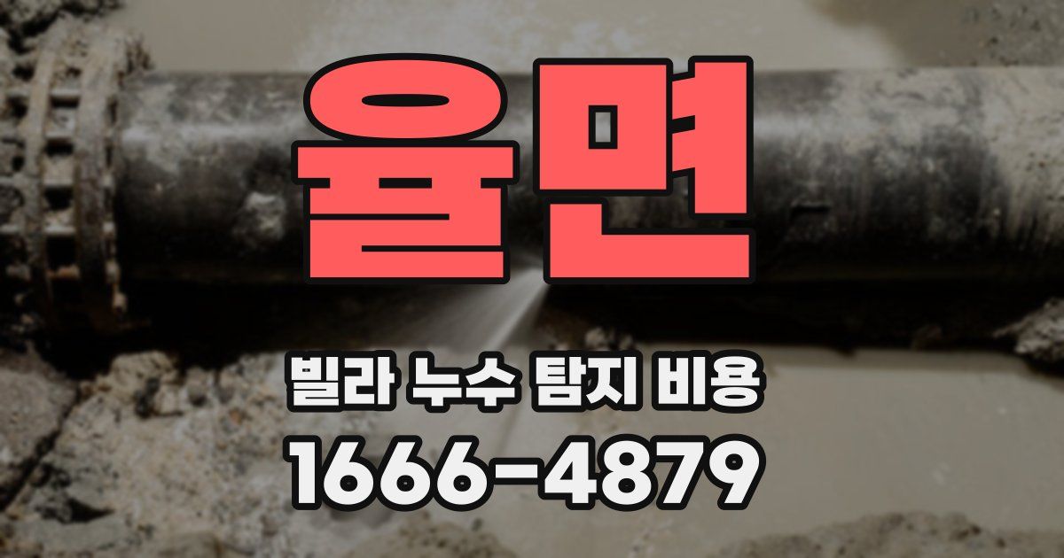 율면 빌라 누수 탐지 비용