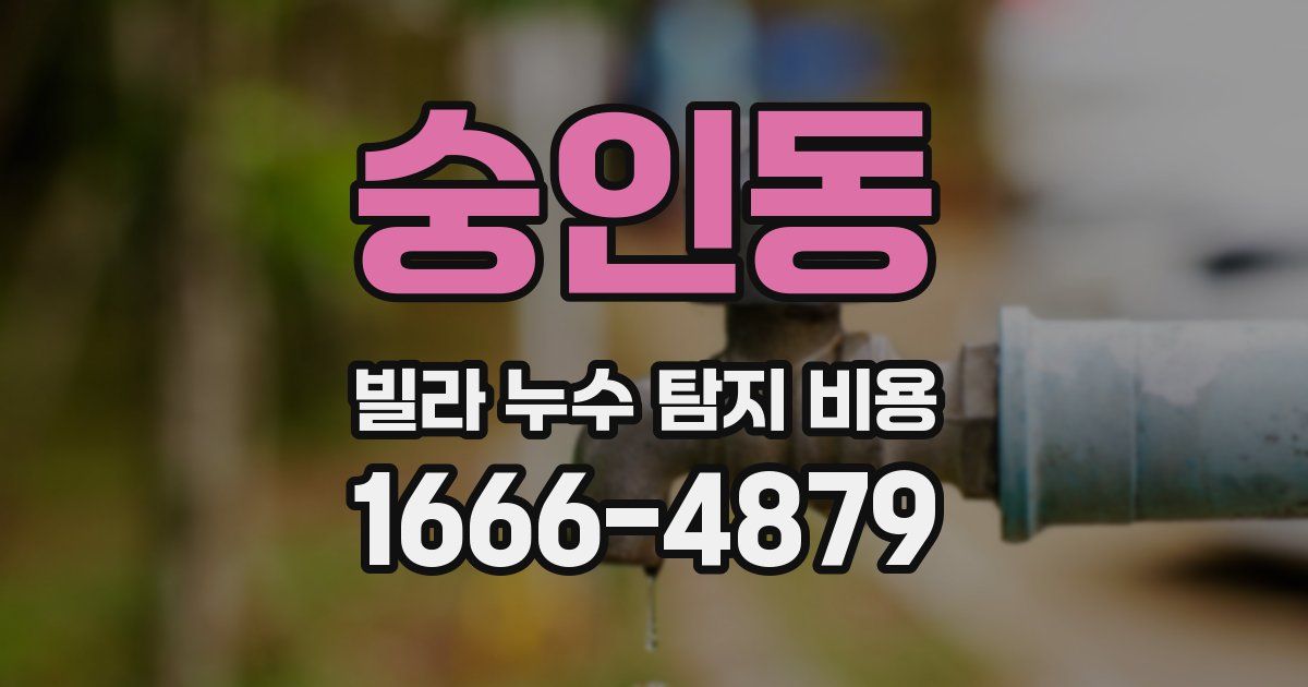 숭인동 빌라 누수 탐지 비용