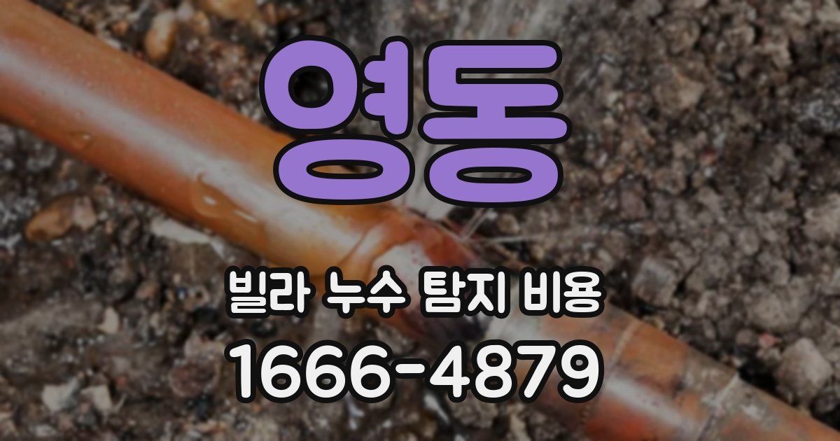영동 빌라 누수 탐지 비용
