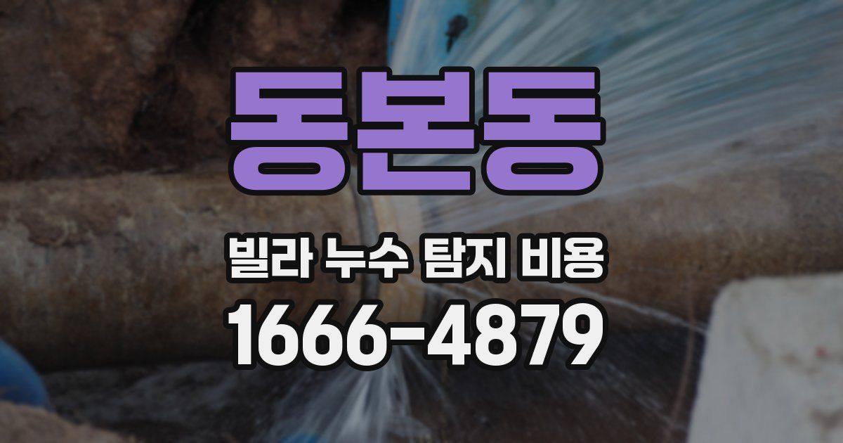 동본동 빌라 누수 탐지 비용