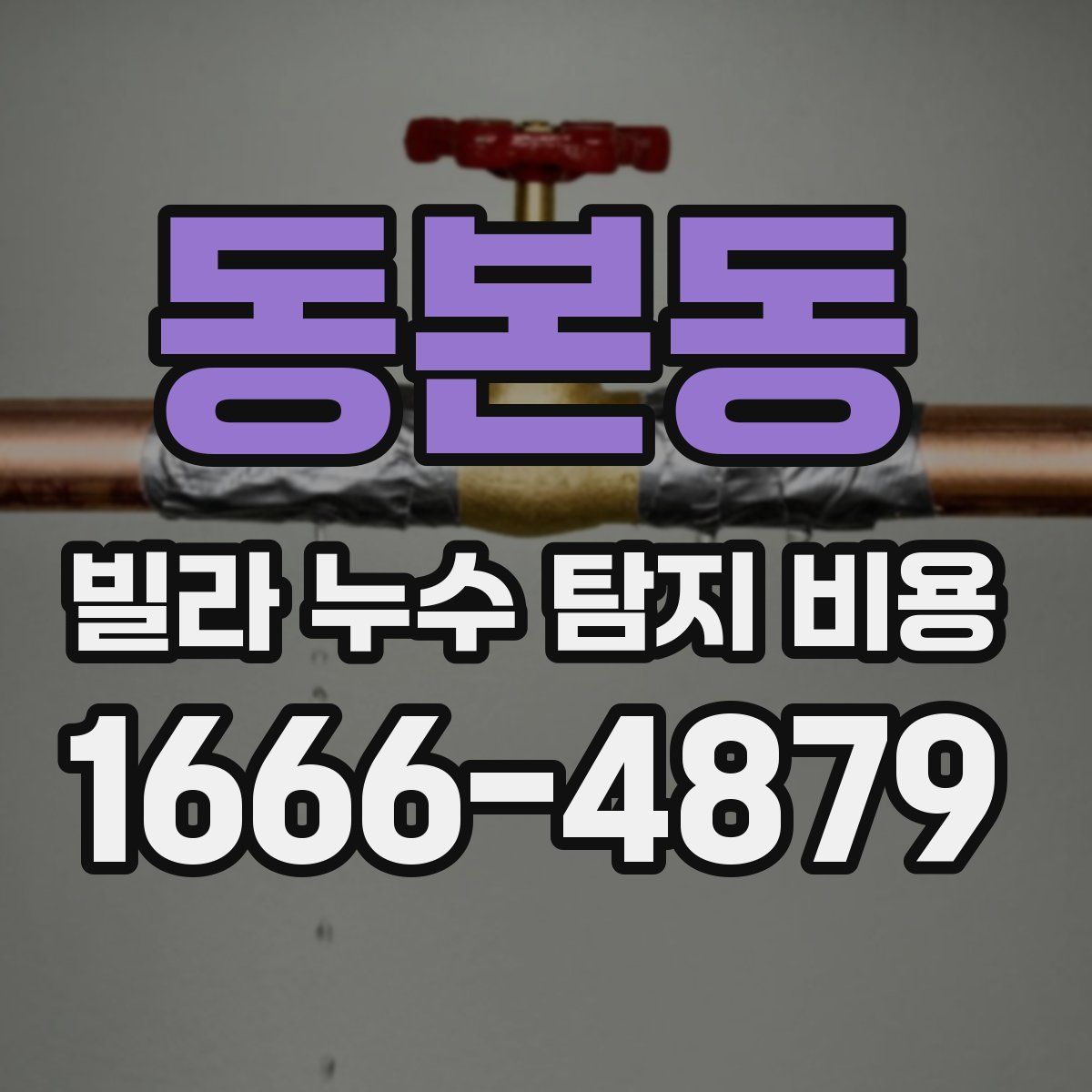 동본동 빌라 누수 탐지 비용