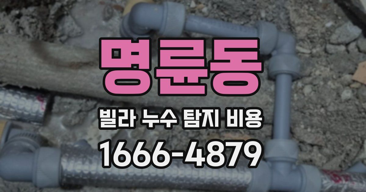 명륜동 빌라 누수 탐지 비용