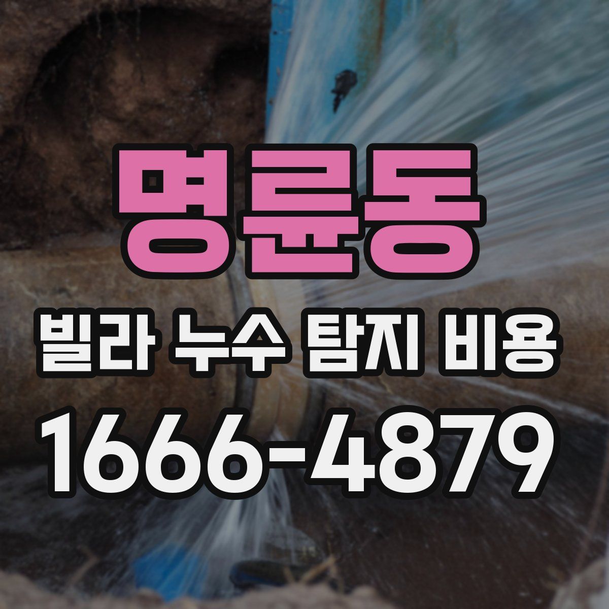 명륜동 빌라 누수 탐지 비용