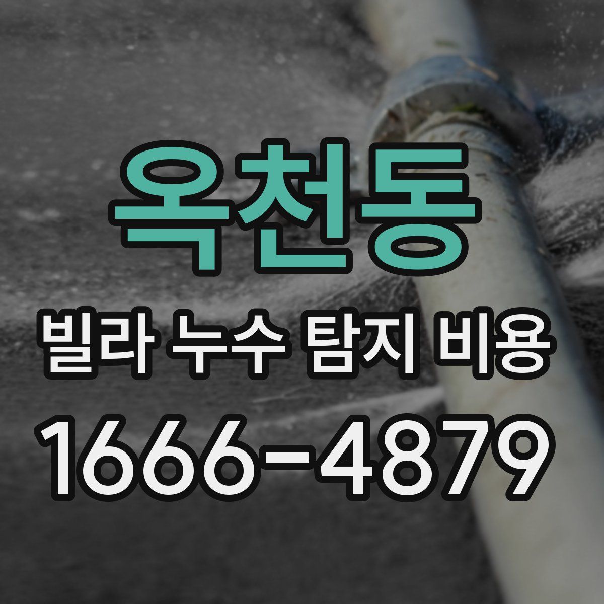 옥천동 빌라 누수 탐지 비용
