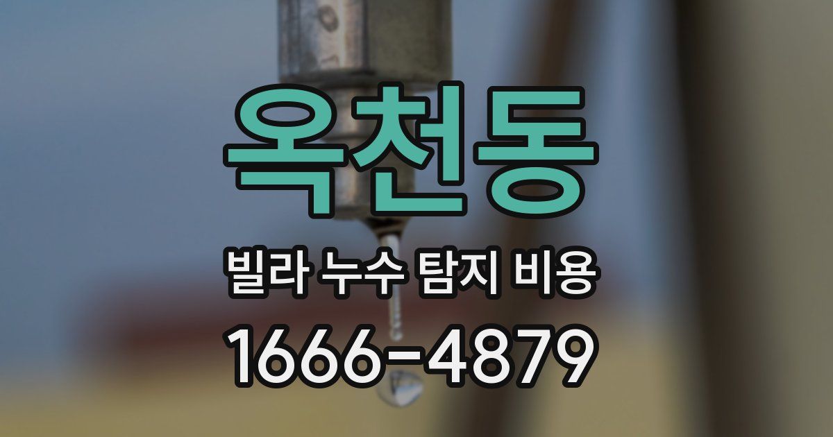 옥천동 빌라 누수 탐지 비용