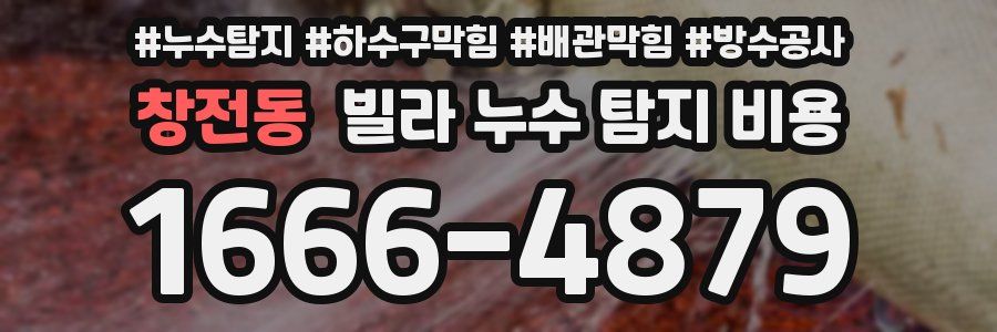 창전동 빌라 누수 탐지 비용