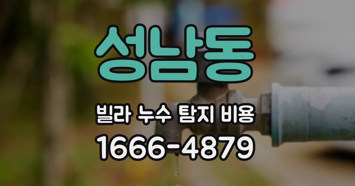 성남동 빌라 누수 탐지 비용