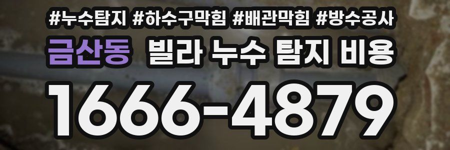 금산동 빌라 누수 탐지 비용