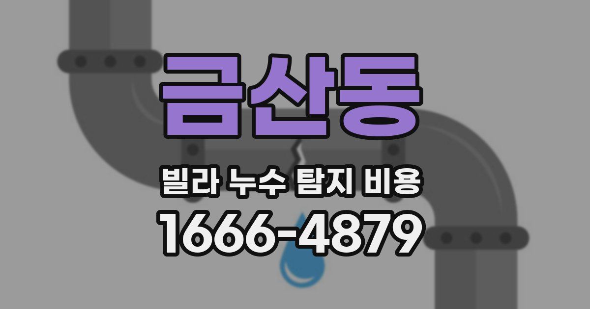 금산동 빌라 누수 탐지 비용