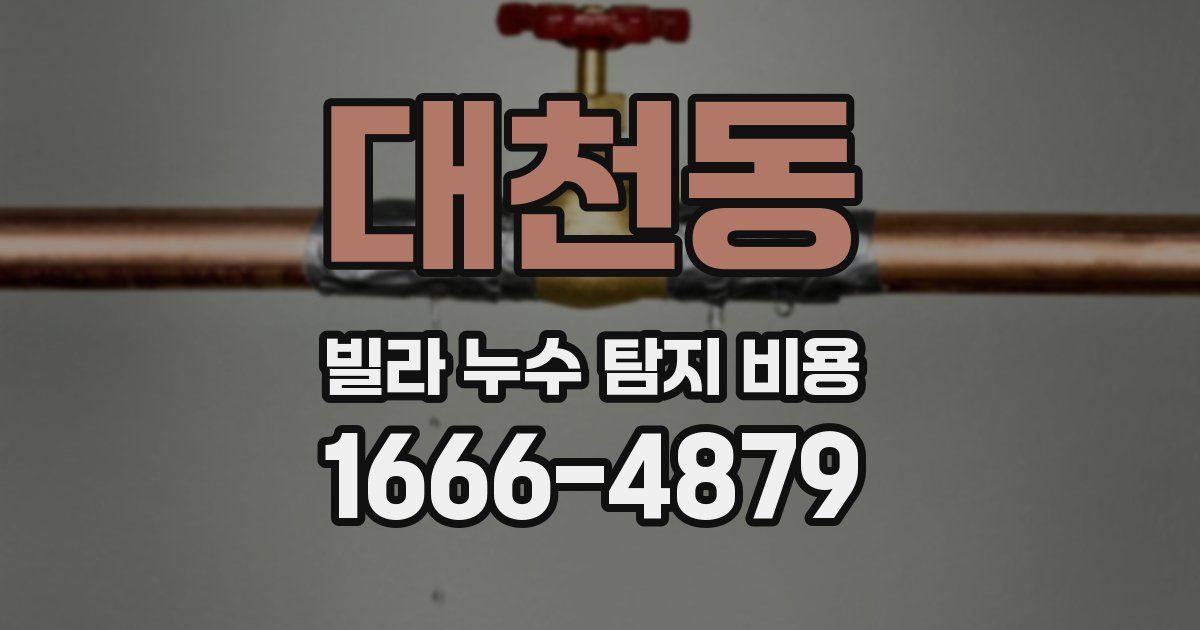 대천동 빌라 누수 탐지 비용
