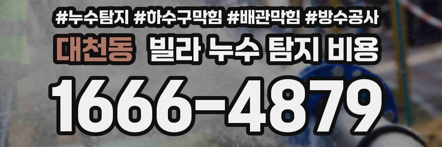 대천동 빌라 누수 탐지 비용