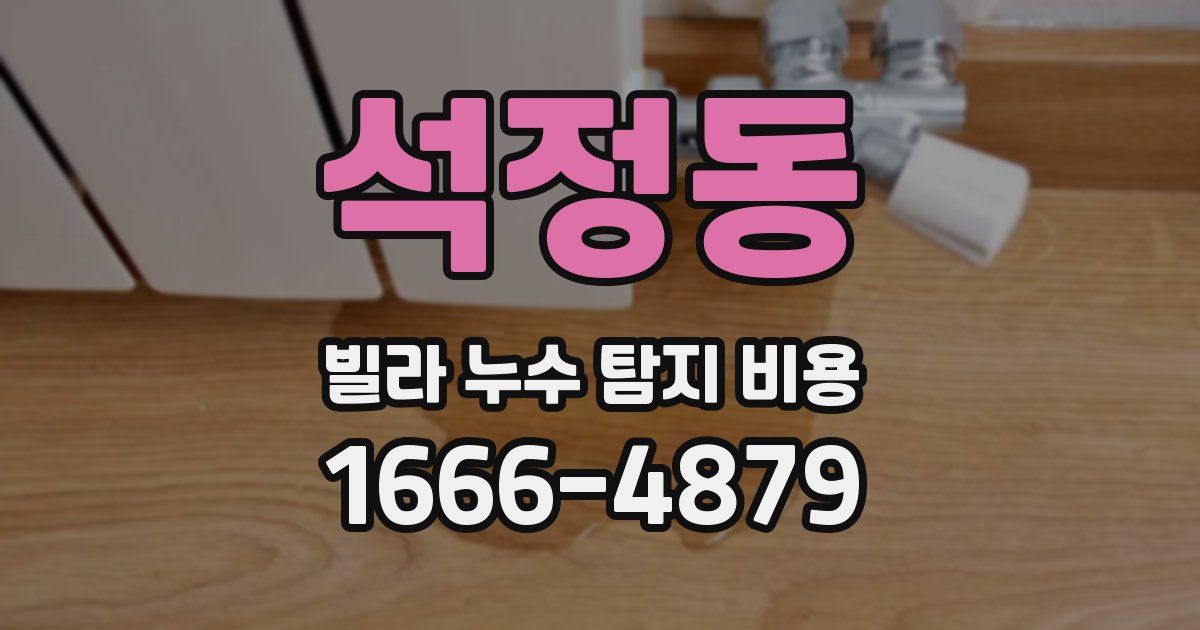 석정동 빌라 누수 탐지 비용