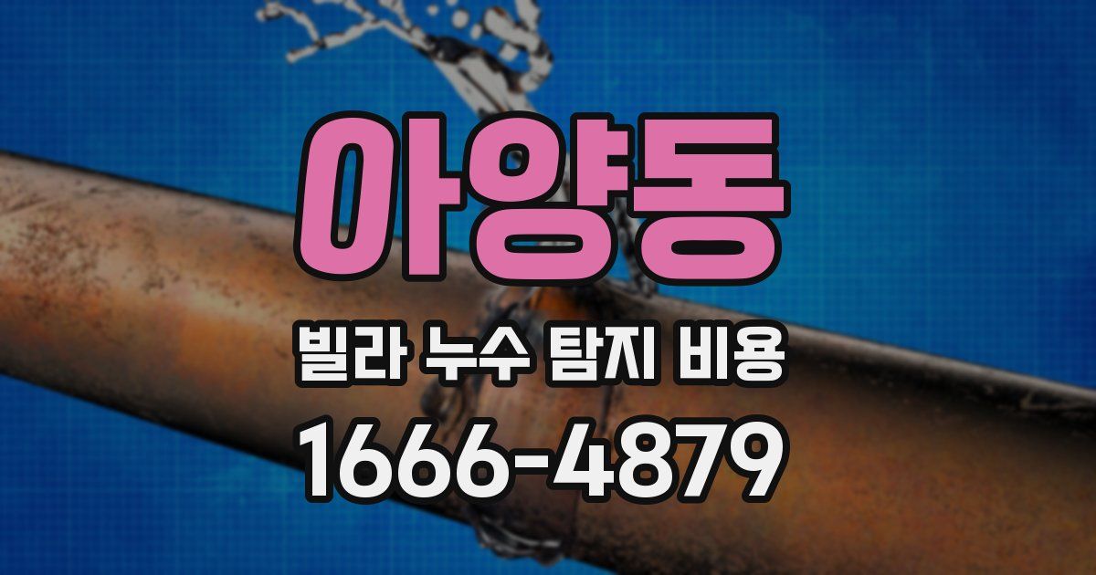 아양동 빌라 누수 탐지 비용