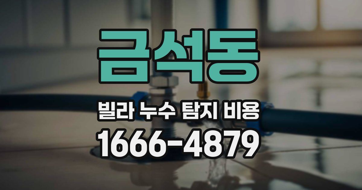 금석동 빌라 누수 탐지 비용