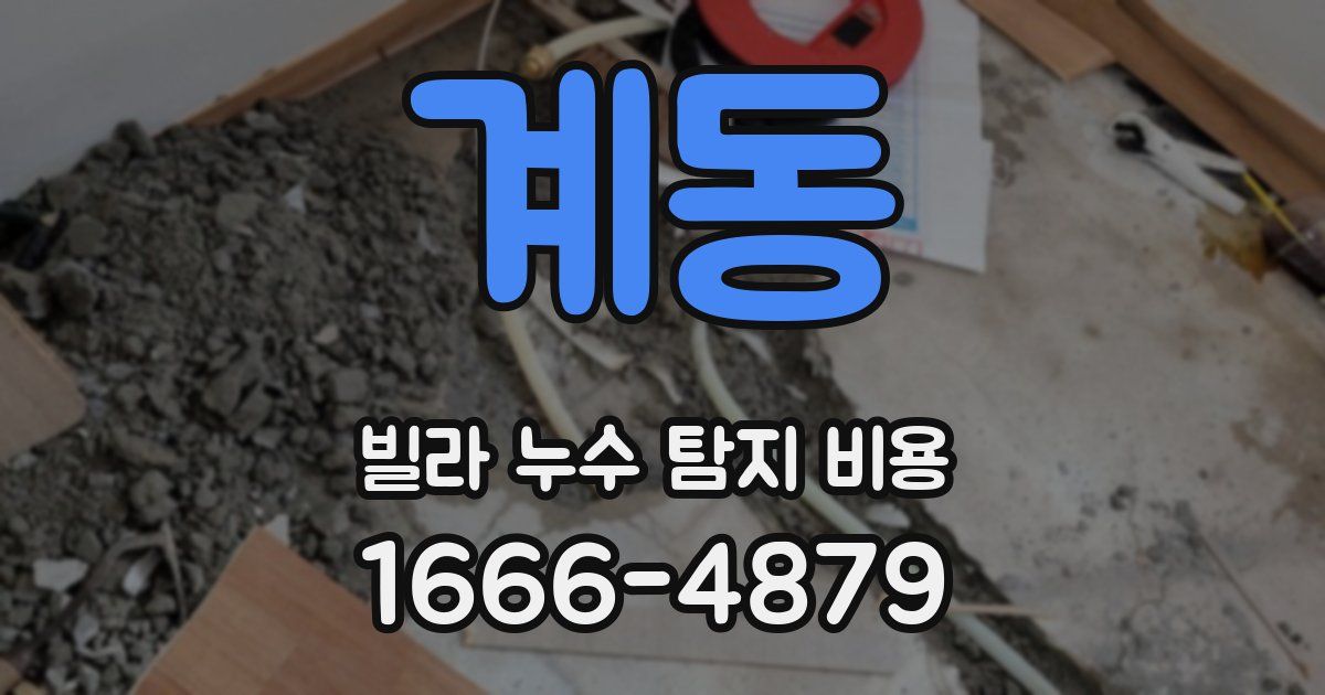 계동 빌라 누수 탐지 비용