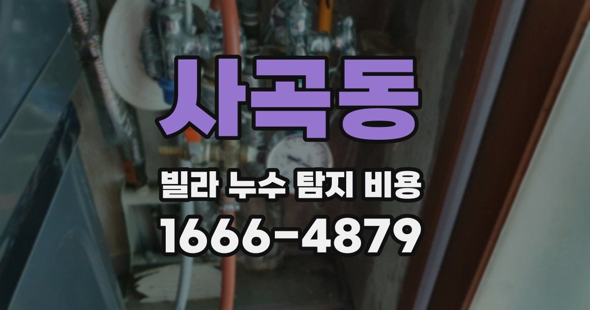 사곡동 빌라 누수 탐지 비용