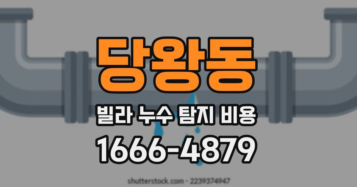 당왕동 빌라 누수 탐지 비용