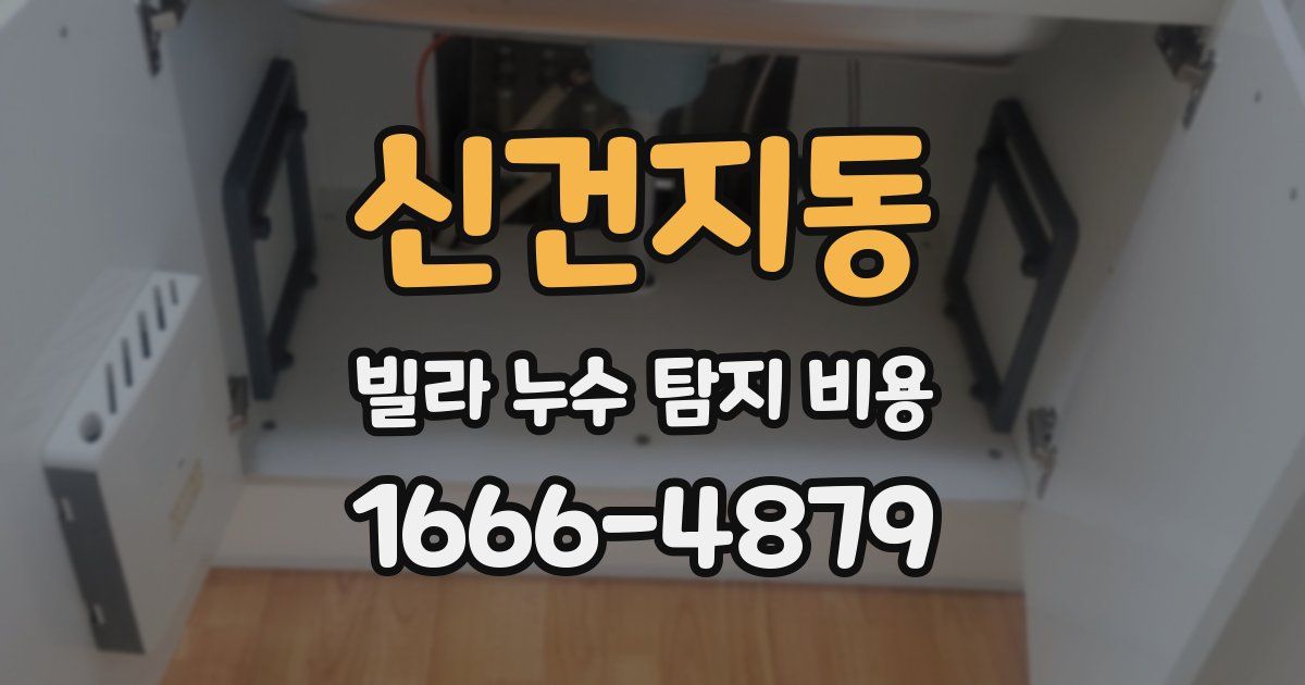 신건지동 빌라 누수 탐지 비용