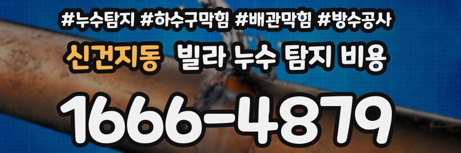 신건지동 빌라 누수 탐지 비용