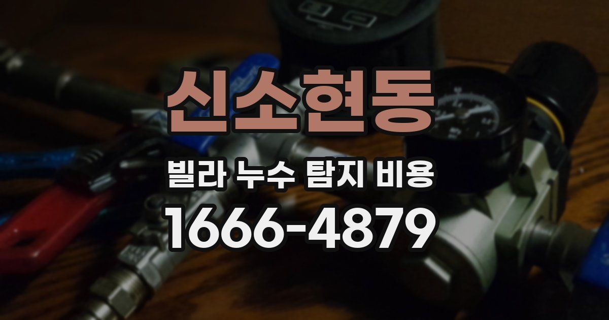 신소현동 빌라 누수 탐지 비용