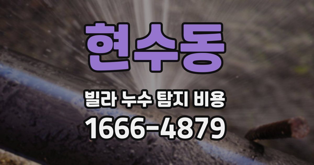현수동 빌라 누수 탐지 비용