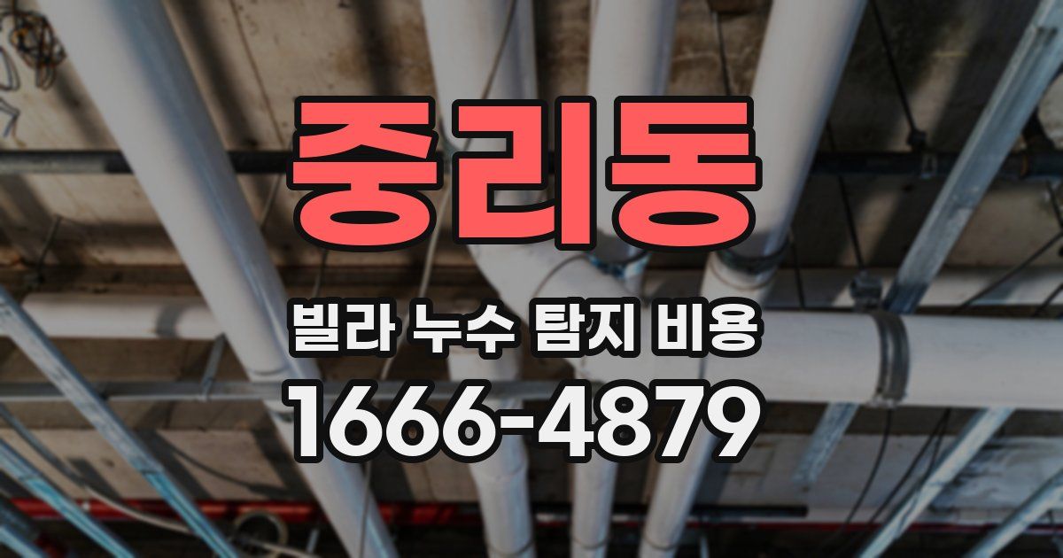 중리동 빌라 누수 탐지 비용