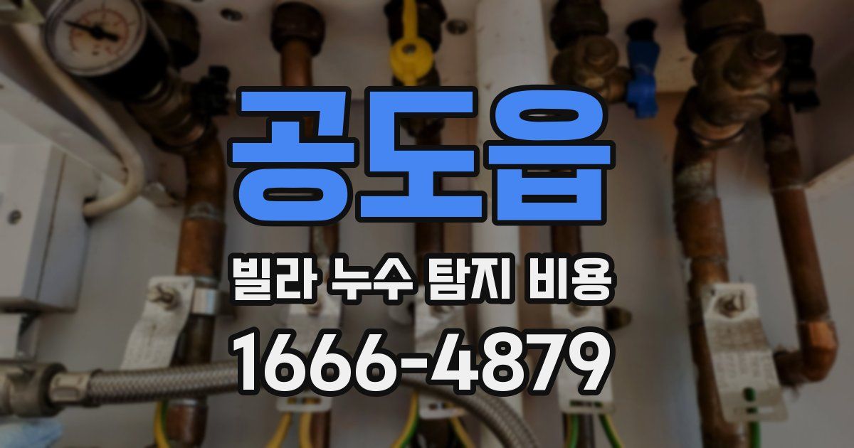 공도읍 빌라 누수 탐지 비용